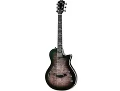 Taylor Custom Shop T5z main image