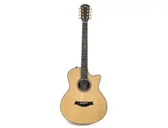 Taylor GT-8 Baritone main image