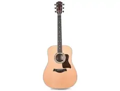 Taylor Legacy 810e main image