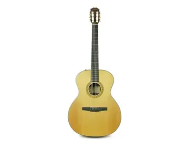 Taylor NS24e