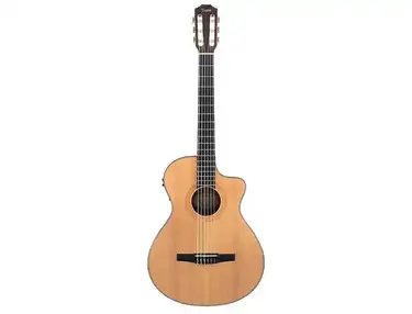 Taylor NS32ce