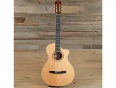 Taylor NS32ce with ES-N Electronics main image
