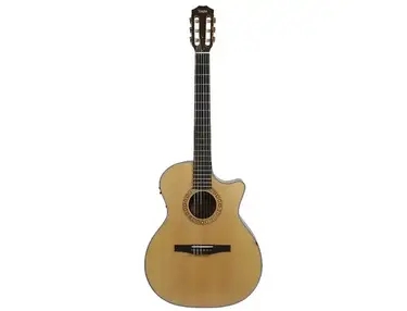 Taylor NS34ce