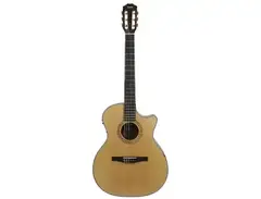 Taylor NS34ce main image