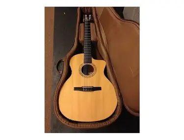 Taylor NS34ce with ES-N Electronics