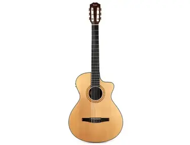 Taylor NS42ce
