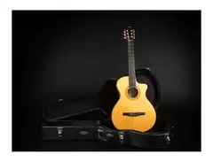 Taylor NS62ce main image