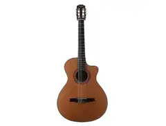 Taylor NS72ce with ES-N Electronics main image