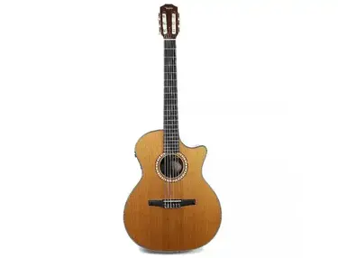 Taylor NS74ce