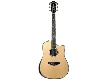 Taylor Presentation Series Dreadnought