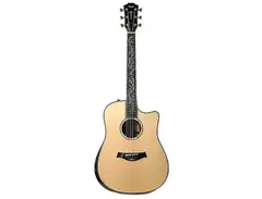 Taylor Presentation Series Dreadnought main image