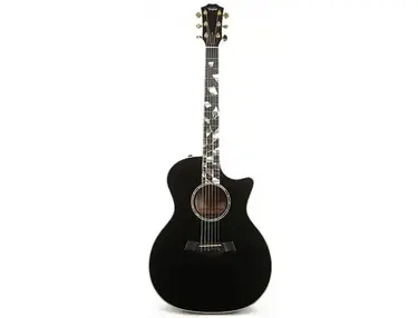 Taylor RNSM Rick Nielsen Signature