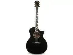 Taylor RNSM Rick Nielsen Signature main image