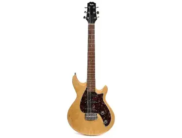 Taylor SB1-X Classic - What To Know & Where To Buy | Equipboard