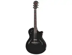 Taylor Serj Tankian Signature T5 main image