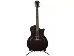Taylor T5S1-12 Standard Maple 12-String main image