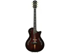 Taylor T5Z Custom C Cocobolo main image
