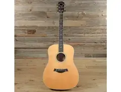 Taylor W10 main image