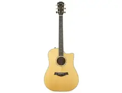 Taylor W10ce main image