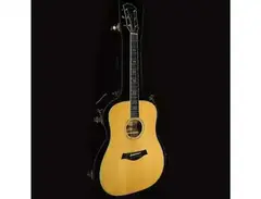Taylor W10e main image
