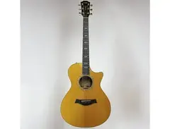 Taylor W12ce main image