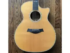 Taylor W14c main image