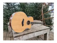 Taylor W15ce main image