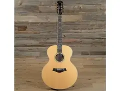 Taylor W55 main image