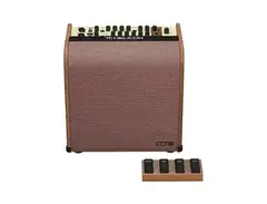 TC Helicon	Harmony V100 2-Channel 100-Watt 1x10" Acoustic Guitar Combo