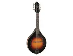 The Loar LM-175 Grassroots A-Style Mandolin main image