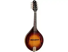 The Loar LM-290 Contemporary A-Style Mandolin main image