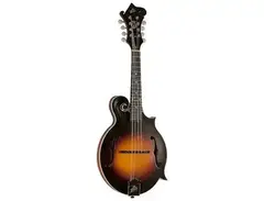 The Loar LM-370 Grassroots F-Style Mandolin main image