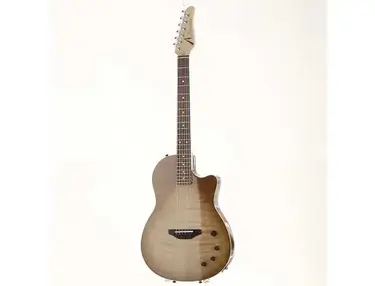 Anderson Guitarworks Crowdster Player