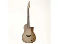 Anderson Guitarworks Crowdster Player main image