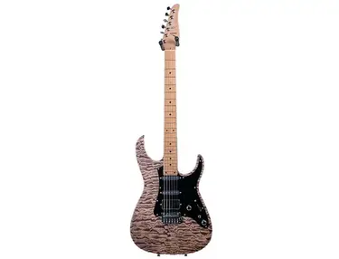 Anderson Guitarworks Guardian Angel