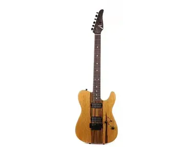 Anderson Guitarworks Pro Am T
