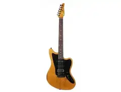 Anderson Guitarworks Raven Superbird main image