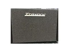 Traynor Acoustic Master Custom 225-Watt 1x8" Acoustic Guitar Combo with Voice Coil and Tweeter main image