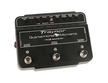 Traynor DH25H QuarterHorse Microamp 25-Watt Stompbox Guitar Amplifier