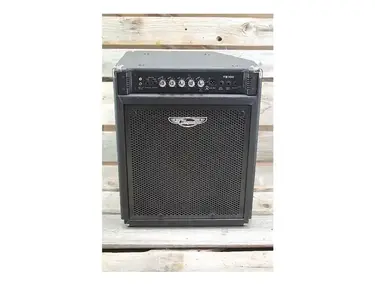 Traynor TB100 100-Watt 1x15" Tilt-Back Bass Combo