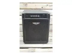 Traynor TB100 100-Watt 1x15" Tilt-Back Bass Combo main image