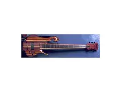 Carl Thompson 6-String Fretless "Rainbow Bass"