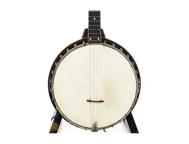Vega 3 Tenor Banjo