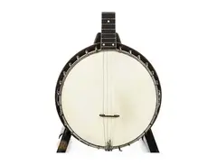 Vega 3 Tenor Banjo main image
