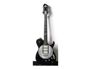 Zemaitis Rich Robinson Custom