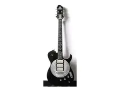 Zemaitis Rich Robinson Custom