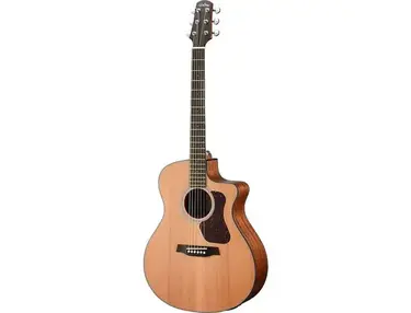 Walden Guitars G570CE/W