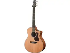 Walden Guitars G570CE/W main image