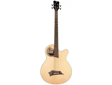 Warwick Alien Standard 4