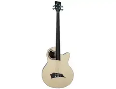 Warwick Alien Standard 4 Fretless main image